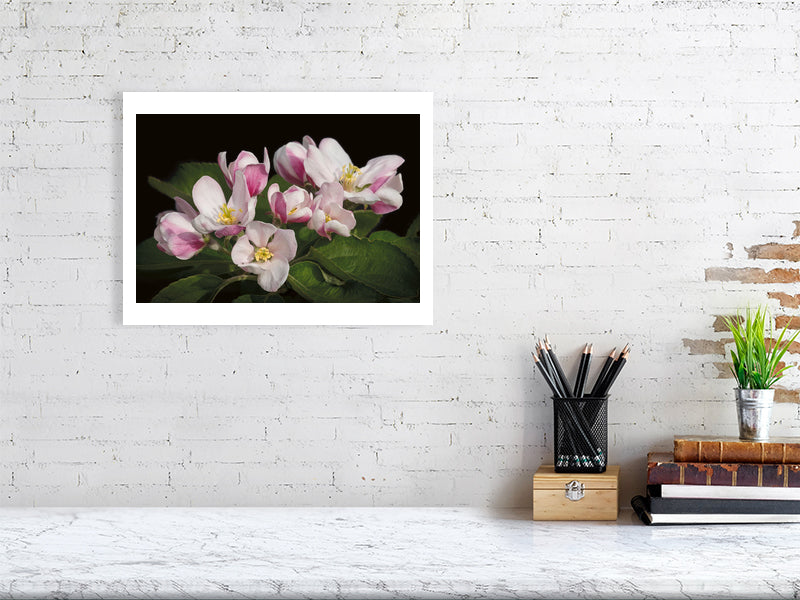 Example medium framed photo of apple blossom on white brick wall with shelf and books