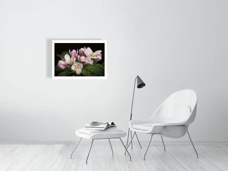 Example of medium framed photo of apple blossom with white chair and footstool in white room