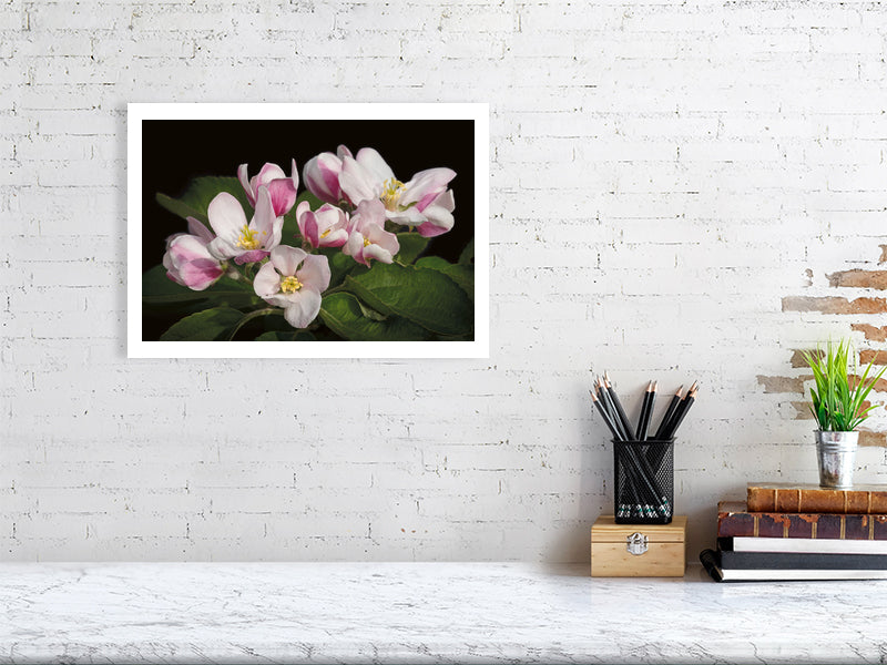 Example medium framed photo of apple blossom on white brick wall with shelf and books