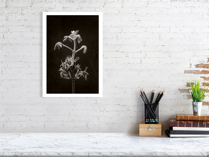 A3 giclée print of Horse Chestnut Stem No2 botanical photograph by Botanographia