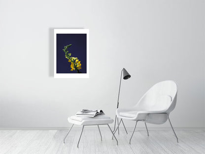 A4 giclée print of Snapdragon Stem botanical photograph by Botanographia