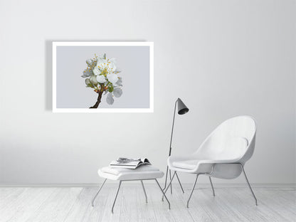 1000×700mm giclée print of Victoria Plum Blossom No2 botanical photograph by Botanographia