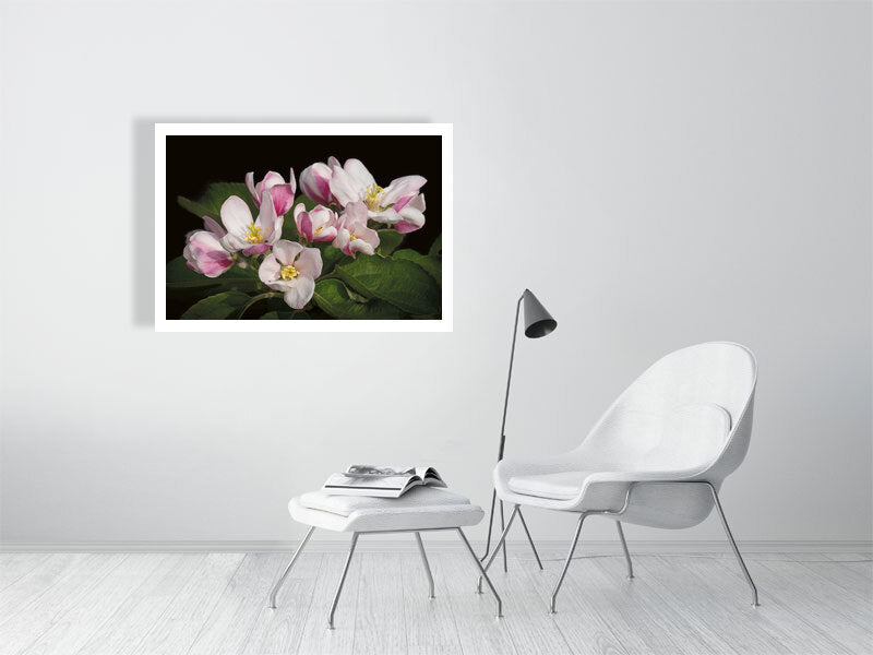 Example large framed photo of apple blossom with white chair and footstool in white room
