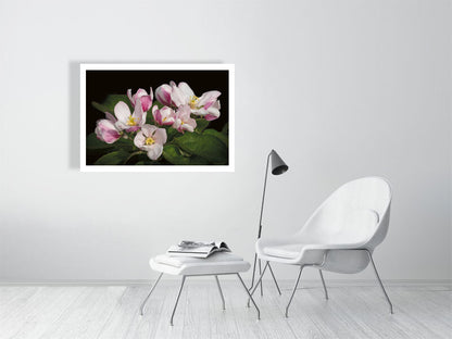 Example large framed photo of apple blossom with white chair and footstool in white room