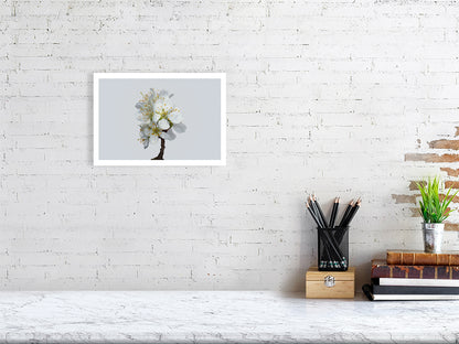 A4 giclée print of Victoria Plum Blossom No1 botanical photograph by Botanographia