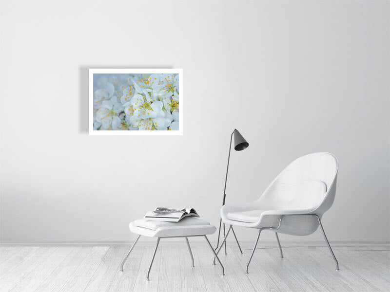 500×700mm giclée print of Plum Blossom Dew botanical photograph by Botanographia