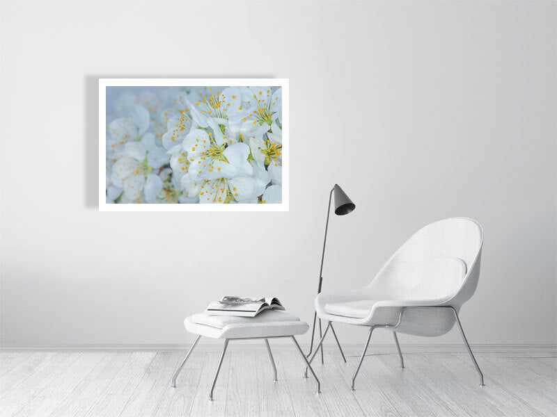 1000×700mm giclée print of Plum Blossom Dew botanical photograph by Botanographia