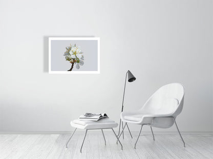 700×500mm giclée print of Victoria Plum Blossom No2 botanical photography –  by Botanographia