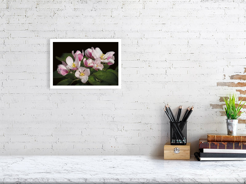 Example small framed photo of apple blossom on white brick wall with shelf and books