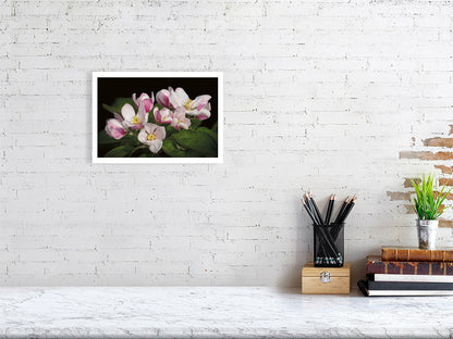 Example small framed photo of apple blossom on white brick wall with shelf and books