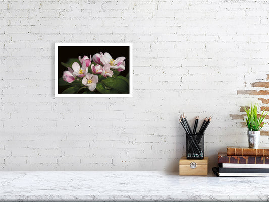 Example small framed photo of apple blossom on white brick wall with shelf and books