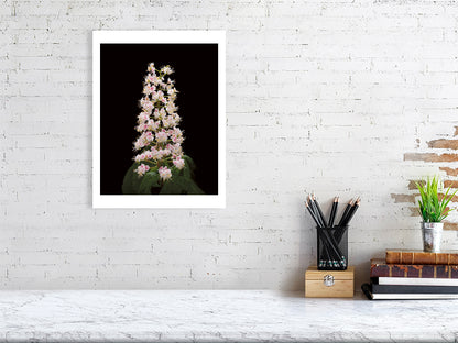 300×400mm giclée print of Horse Chestnut Flower botanical photograph by Botanographia