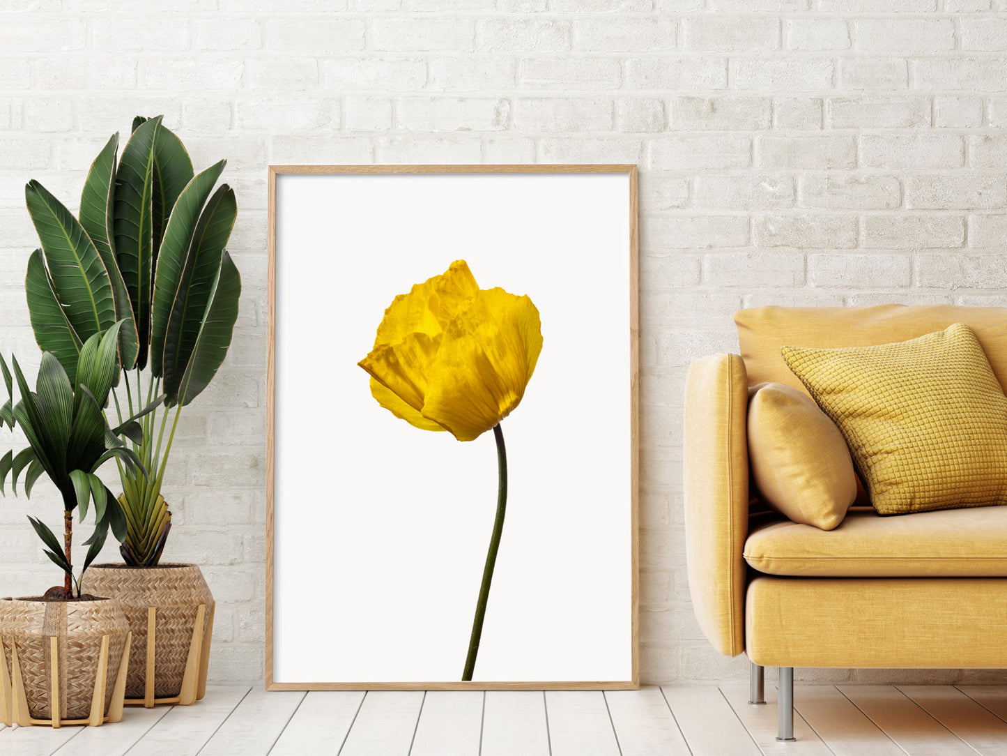 Yellow Poppy No 1