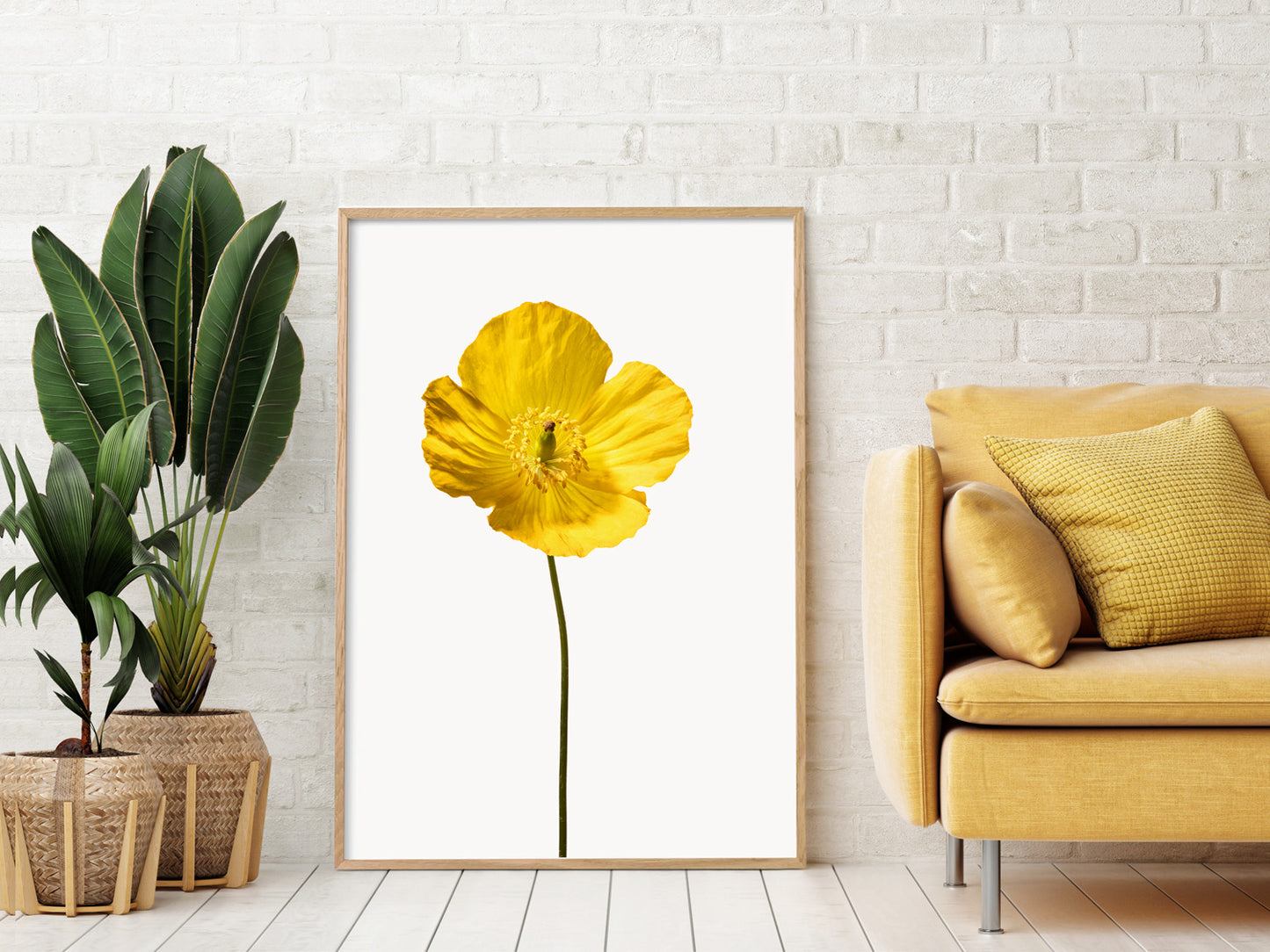 Yellow Poppy No 3