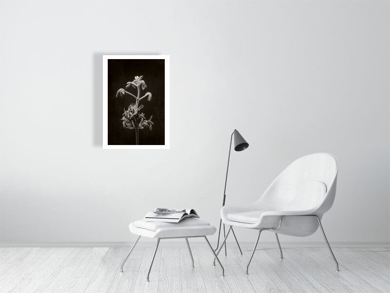 500×700mm giclée print of Horse Chestnut Stem No2 botanical photograph by Botanographia