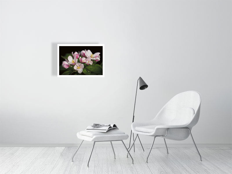 Example small framed photo of apple blossom with white chair and footstool in white room