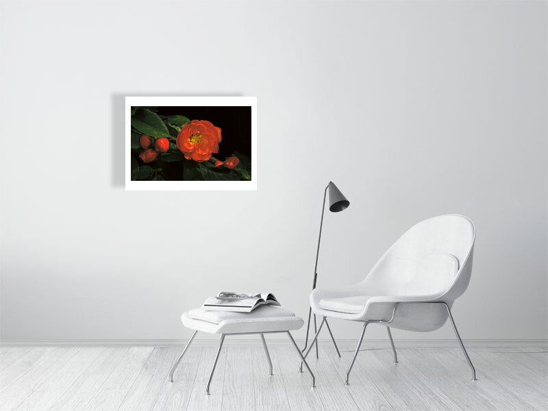 Example medium framed photo of japanese flowering quince with white chair and footstool in white room