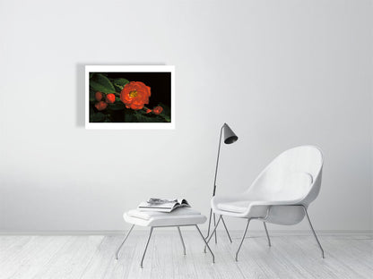 Example medium framed photo of japanese flowering quince with white chair and footstool in white room