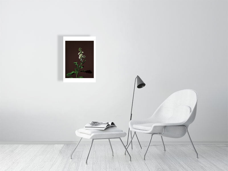 A2 giclée print ofStock Stem botanical photograph by Botanographia