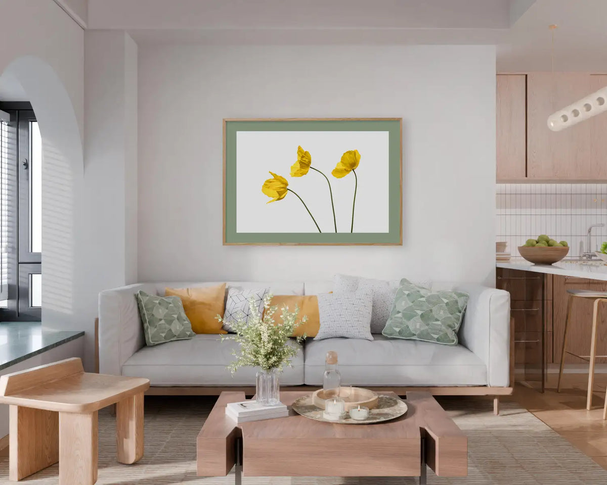 Yellow Poppy Triplet