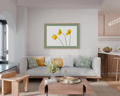 Yellow Poppy Triplet